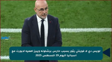 لويس دي لا فوينتي يثور بسبب حارس برشلونة ويبرز أهمية لابورت مع إسبانيا اليوم 29 أغسطس 2025